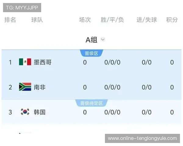 世界杯南非韩国大赛经验总结：韩国国家队在南非世界杯的战术布局与比赛亮点